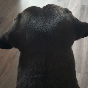 Meet your Posher, Sydney